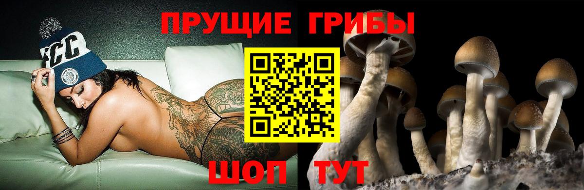 Железногорск  купить наркоту  Вход с VPN  Псилоцибиновые грибы ЛСД 